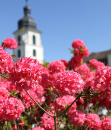 Das Fürstliche Gartenfest Schloss Fasanerie