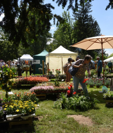 Veranstaltung: Gartenwelten Dieburg