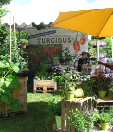 Verschoben auf 8./9.8.20 - Biogartenmesse Schloss Türnich