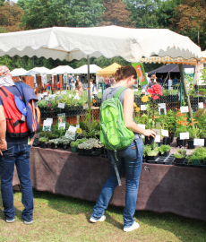 Die Biogartenmesse - Orangerie Schloßpark Biebrich