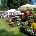 Faszination Garten Schloss Weingartsgreuth 7