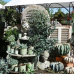 Faszination Garten Schloss Weingartsgreuth 6