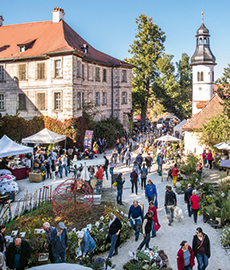 Faszination Garten Schloss Weingartsgreuth