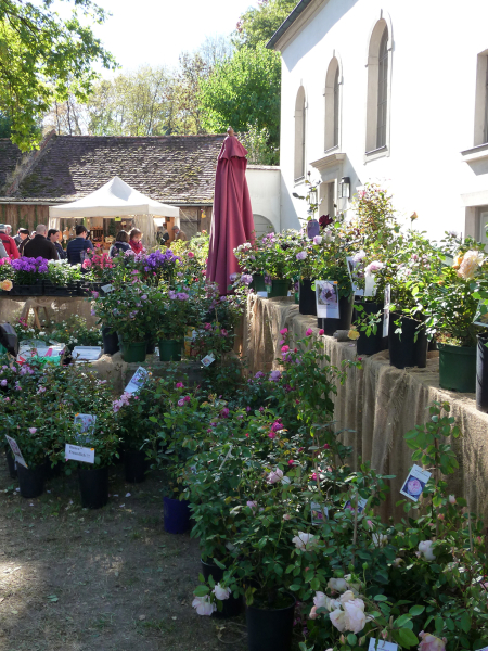 Faszination Garten Auf Schloss Weingartsgreuth