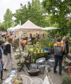 Abgesagt - Heilbronner Gartenträume