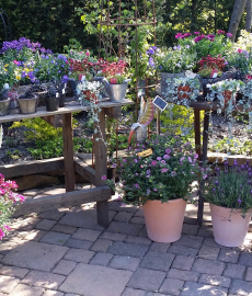 Abgesagt - Gartenmarkt in Essen