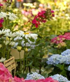 Findet Online statt - Stilblüte Schloss Lüntenbeck