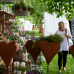 Das Gartenfest Dalheim 1
