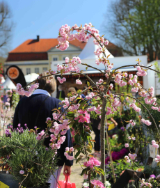 Verschoben auf 26.-28.6.20 - Landgeflüster Gut Emkendorf