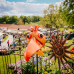 Das Gartenfest Dalheim 4