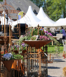 Abgesagt - Holsteiner Frühlingsmarkt