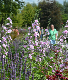 Landesgartenschau Kamp-Lintfort 2020