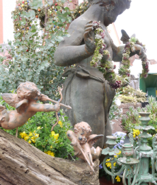 Garten- und Pflanzenmarkt \