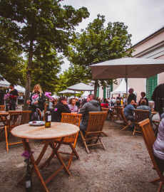 Wein- & Schlossfest Kassel