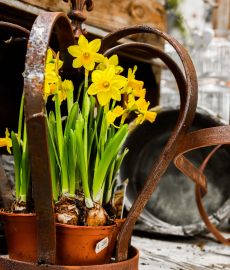 Frühjahrs-Ausstellung Kassel