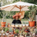 Das Gartenfest Hanau 1