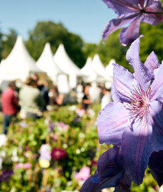 Veranstaltung: Gartenfestival Herrenhausen