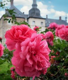 Indian Summer im Schloss Lembeck