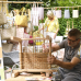 GardenLife 3