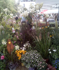 GartenZeit Rockenhausen