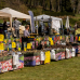 Majas Pflanzentage – Hardenberg Schlosspark 2
