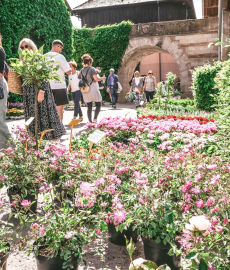 Gartenträume Überherrn