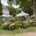 GartenZeit Rockenhausen 3