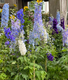 GartenZeit Rockenhausen