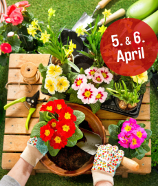 du und dein garten im Egapark Erfurt