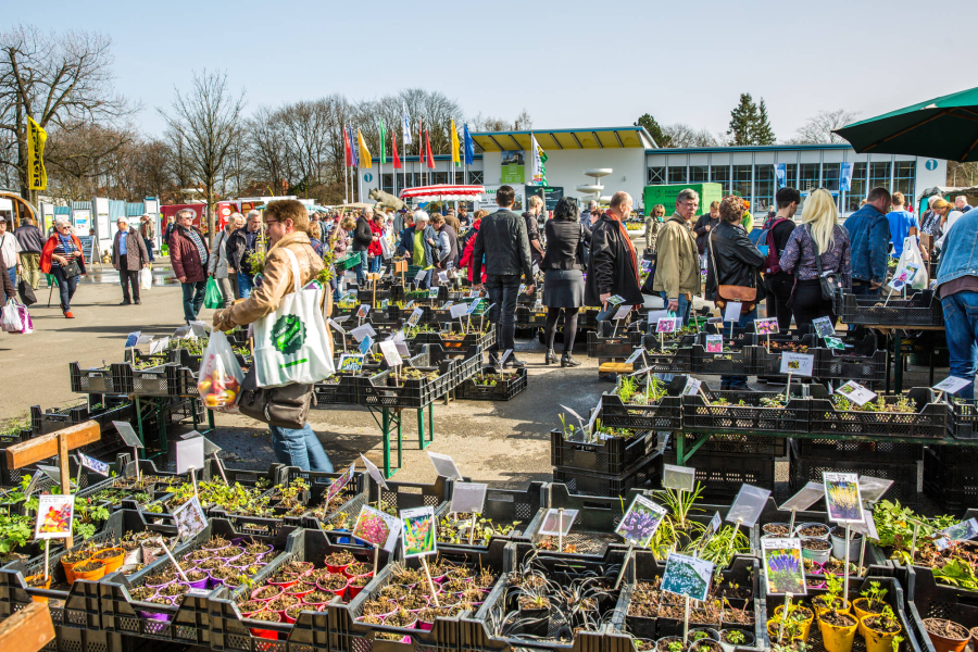 Spezialmarkt du und dein garten