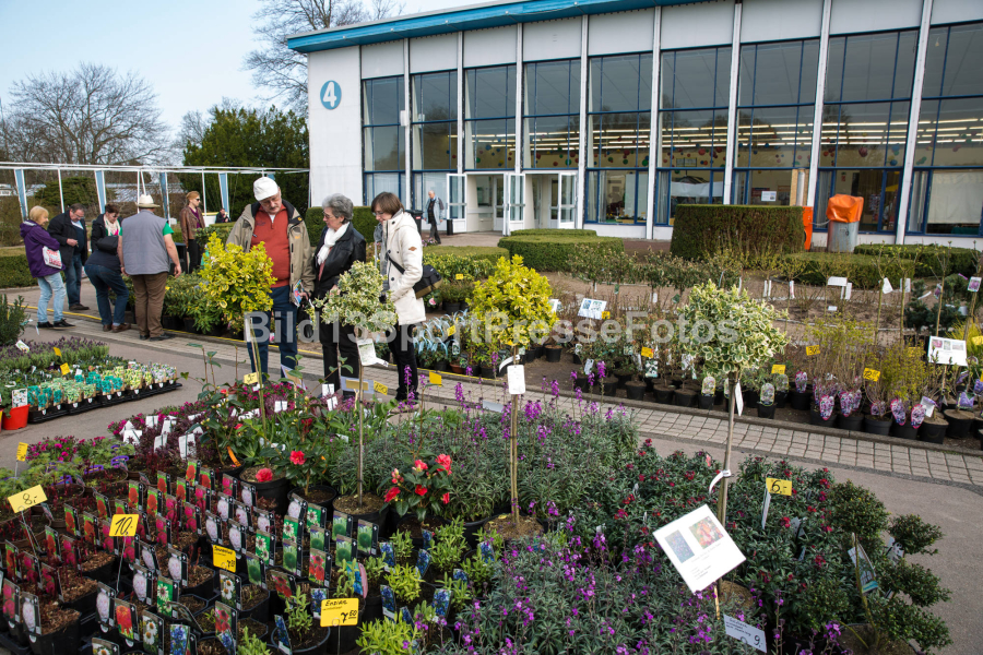 Abgesagt Spezialmarkt du und dein garten präsentiert auf