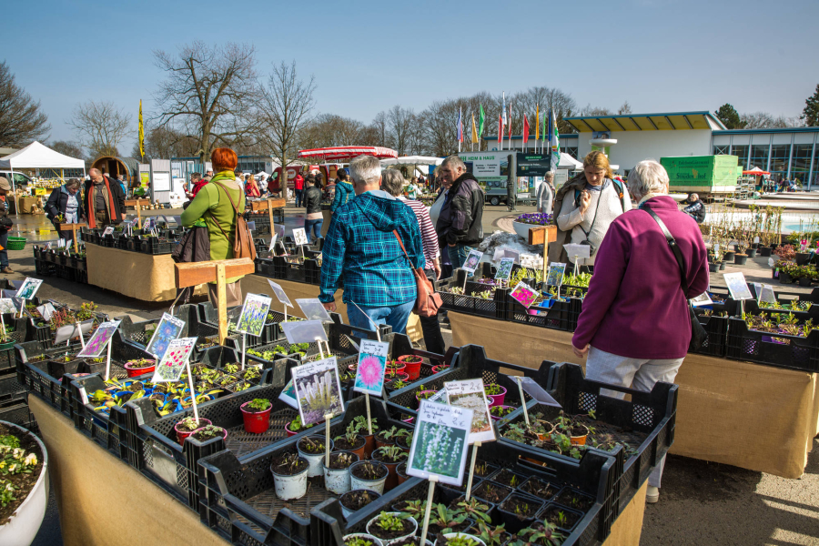 Abgesagt Spezialmarkt du und dein garten präsentiert auf