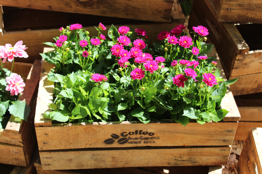 Du und dein Garten 2019 Gartenmessen