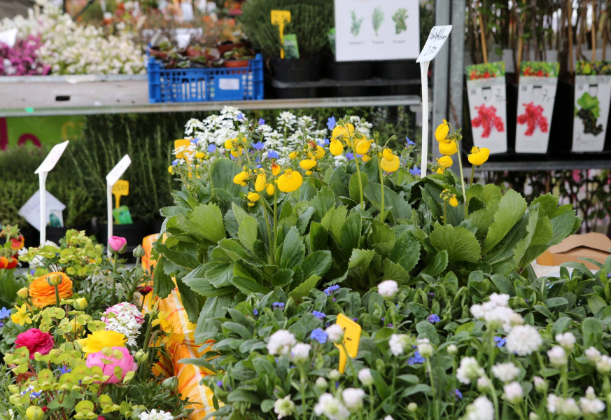 Spezialmarkt du und dein garten