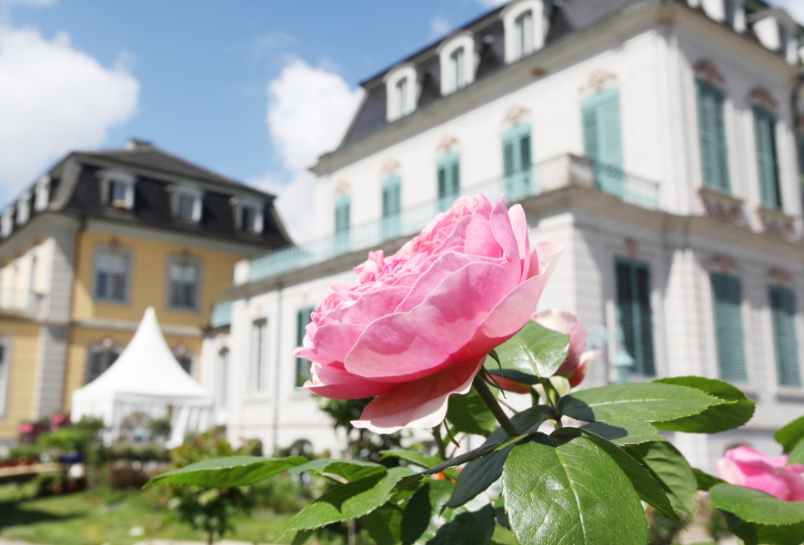Das Gartenfest Kassel