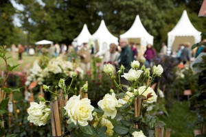 Herbstfestival Herrenhausen