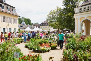 Das Gartenfest Hanau Titel