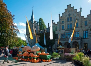 Herbstfestival in Ippenburg