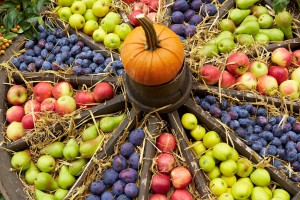 Ernten und Pflanzen: Die Gartenarbeit im Oktober ist vielfältig