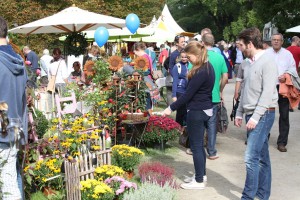 So ein Herbstmarkt ist etwas für die ganze Familie!