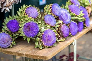 Herbstblumen in Hülle und Fülle!