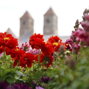 Gartenfest_Kloster Vessra_21