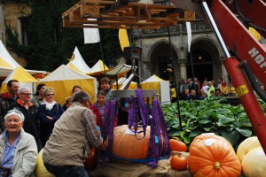 Herbstfestival in Ippenburg