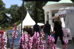 Gartenveranstaltung in Bad Salzuflen