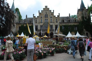 Sommerfestival Ippenburg1