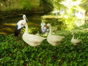 Herbstfestival Schloss Rheydt