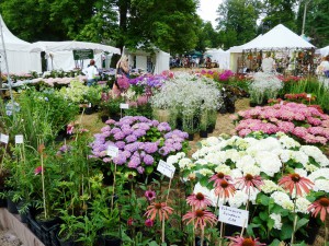 Frühlingsveranstaltung am Wochenende: Gartenwelten Gelnhausen