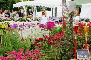 Sommerliche Landpartie: Gartenwelten Wertheim