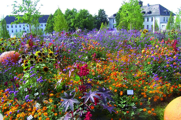 Garten Ambiente Lebensart Sauerlandpark Hemer
