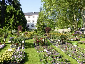 Gartenlust Schloss Eichtersheim